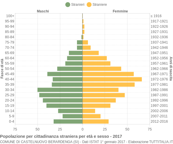 Grafico cittadini stranieri - Castelnuovo Berardenga 2017