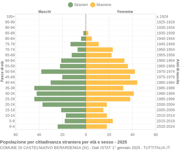 Grafico cittadini stranieri - Castelnuovo Berardenga 2025