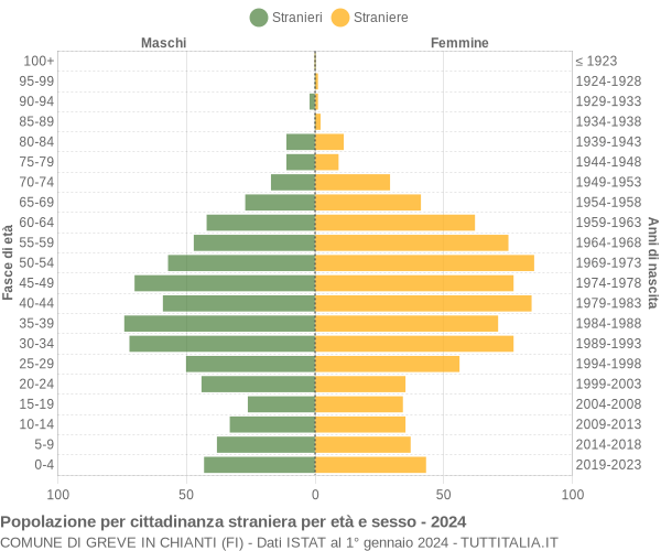 Grafico cittadini stranieri - Greve in Chianti 2024