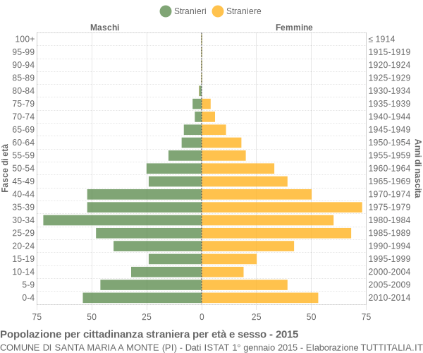 Grafico cittadini stranieri - Santa Maria a Monte 2015