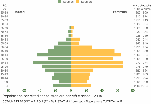 Grafico cittadini stranieri - Bagno a Ripoli 2004