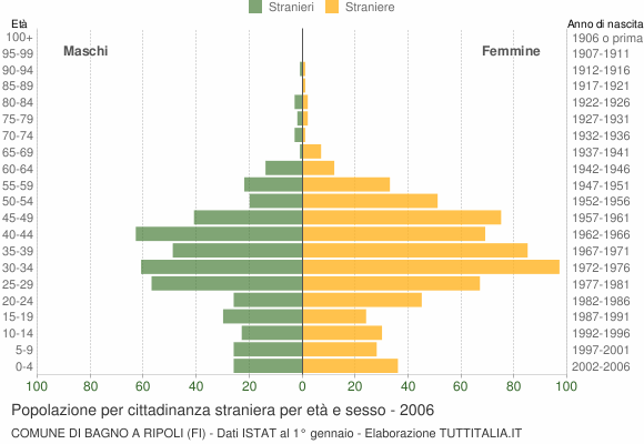 Grafico cittadini stranieri - Bagno a Ripoli 2006