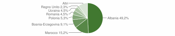 Grafico cittadinanza stranieri - Marradi 2007