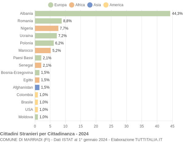 Grafico cittadinanza stranieri - Marradi 2024