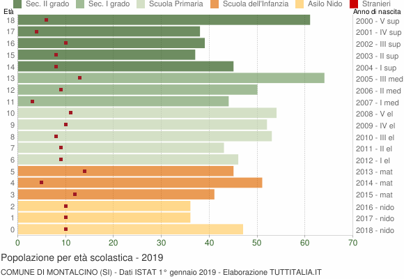 Grafico Popolazione in età scolastica - Montalcino 2019