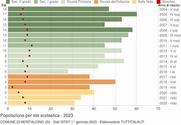 Grafico Popolazione in età scolastica - Montalcino 2023