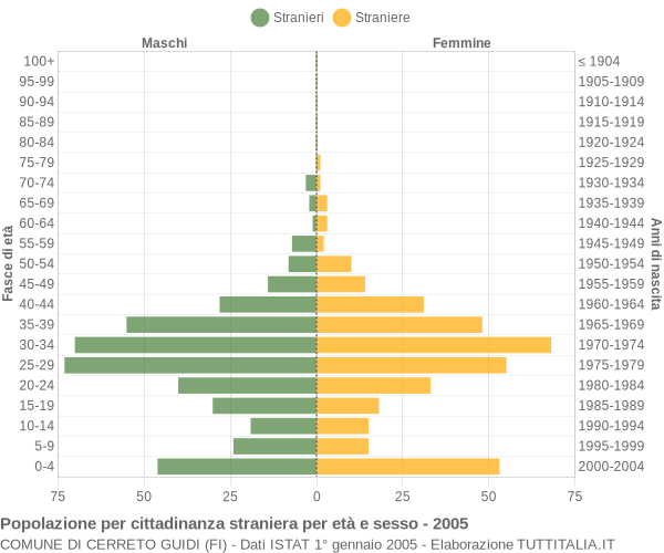 Grafico cittadini stranieri - Cerreto Guidi 2005