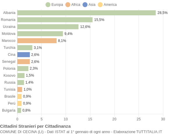 Grafico cittadinanza stranieri - Cecina 2013