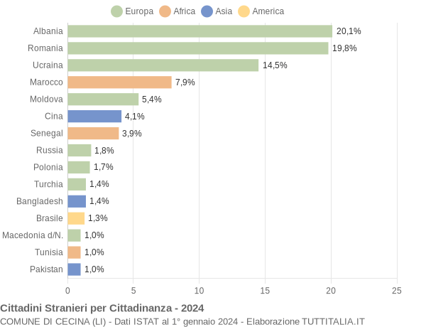 Grafico cittadinanza stranieri - Cecina 2024