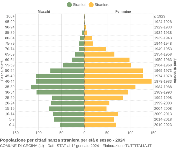 Grafico cittadini stranieri - Cecina 2024