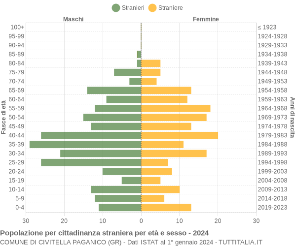 Grafico cittadini stranieri - Civitella Paganico 2024