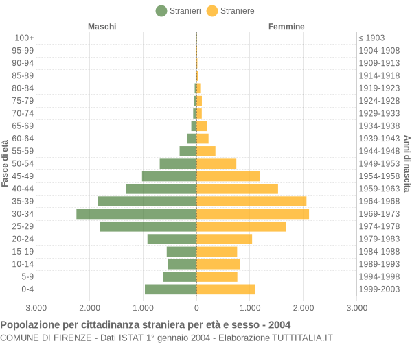 Grafico cittadini stranieri - Firenze 2004