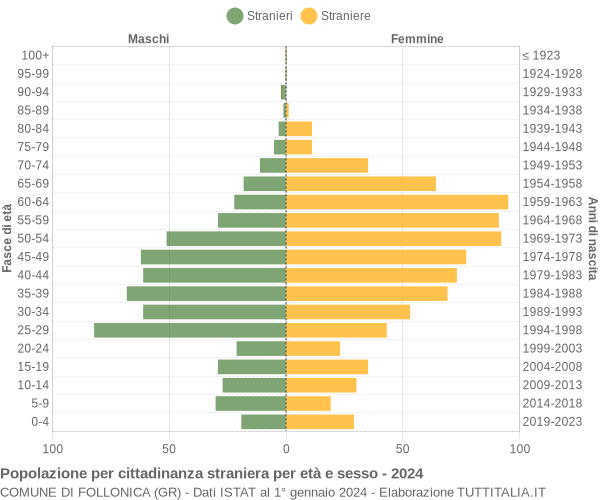 Grafico cittadini stranieri - Follonica 2024