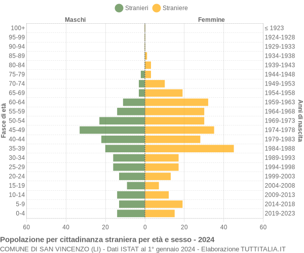 Grafico cittadini stranieri - San Vincenzo 2024