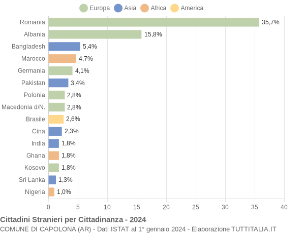 Grafico cittadinanza stranieri - Capolona 2024