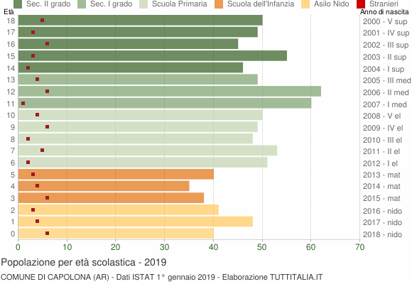 Grafico Popolazione in età scolastica - Capolona 2019