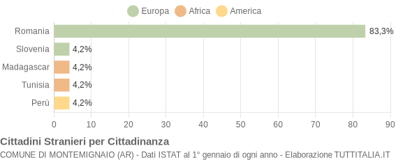 Grafico cittadinanza stranieri - Montemignaio 2007