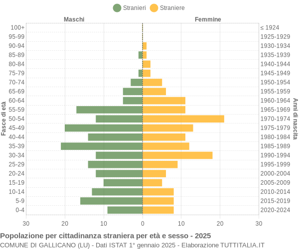 Grafico cittadini stranieri - Gallicano 2025