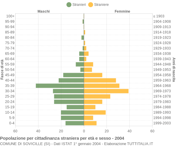 Grafico cittadini stranieri - Sovicille 2004