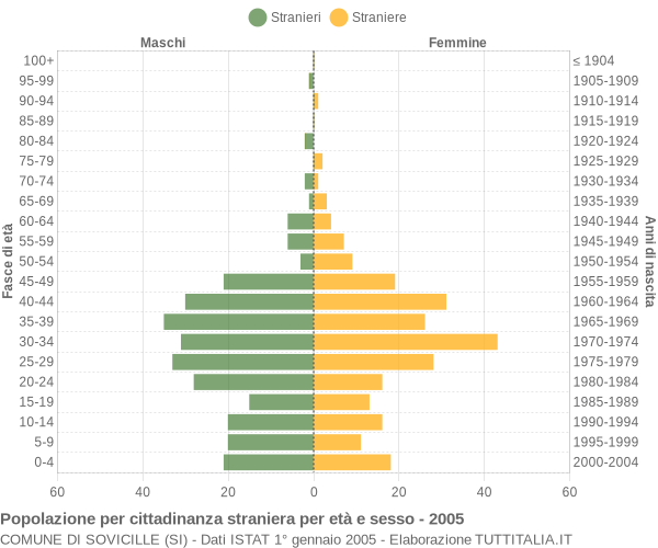 Grafico cittadini stranieri - Sovicille 2005