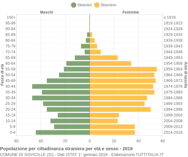 Grafico cittadini stranieri - Sovicille 2019