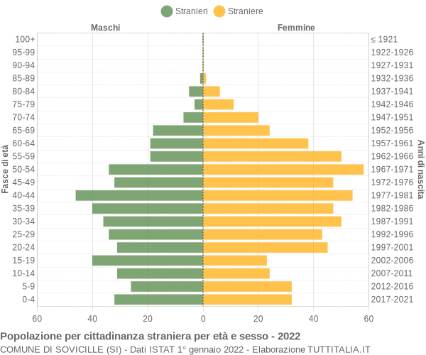 Grafico cittadini stranieri - Sovicille 2022