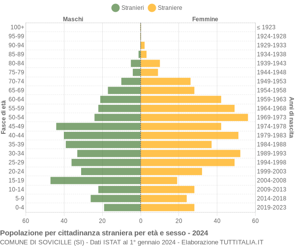 Grafico cittadini stranieri - Sovicille 2024