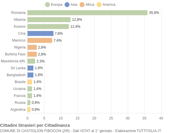 Grafico cittadinanza stranieri - Castiglion Fibocchi 2016