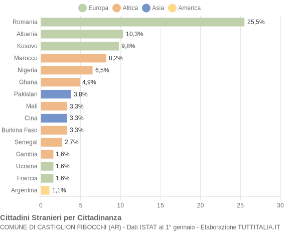 Grafico cittadinanza stranieri - Castiglion Fibocchi 2021