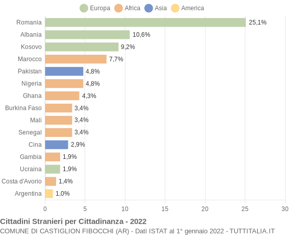 Grafico cittadinanza stranieri - Castiglion Fibocchi 2022