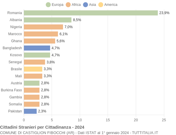 Grafico cittadinanza stranieri - Castiglion Fibocchi 2024