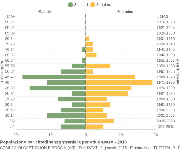 Grafico cittadini stranieri - Castiglion Fibocchi 2016