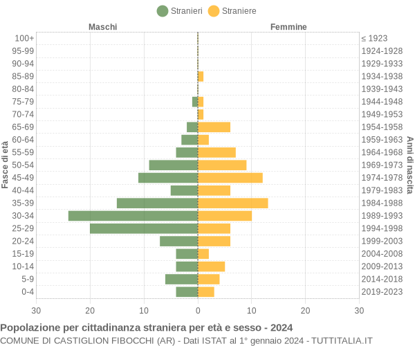 Grafico cittadini stranieri - Castiglion Fibocchi 2024