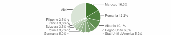 Grafico cittadinanza stranieri - Camaiore 2005