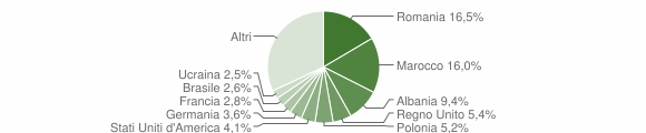 Grafico cittadinanza stranieri - Camaiore 2007