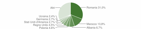 Grafico cittadinanza stranieri - Camaiore 2008