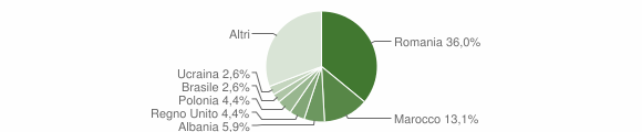 Grafico cittadinanza stranieri - Camaiore 2009