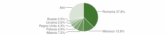 Grafico cittadinanza stranieri - Camaiore 2011