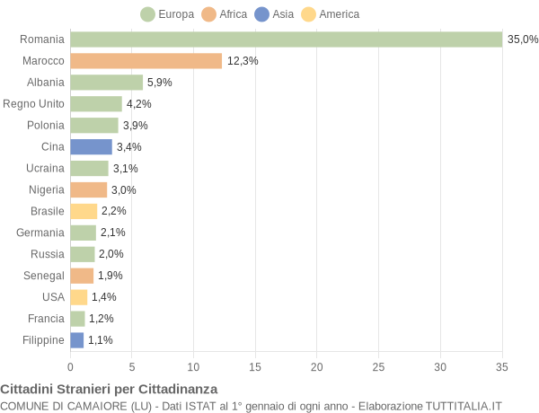 Grafico cittadinanza stranieri - Camaiore 2019