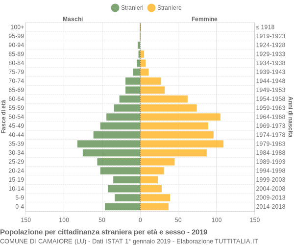 Grafico cittadini stranieri - Camaiore 2019