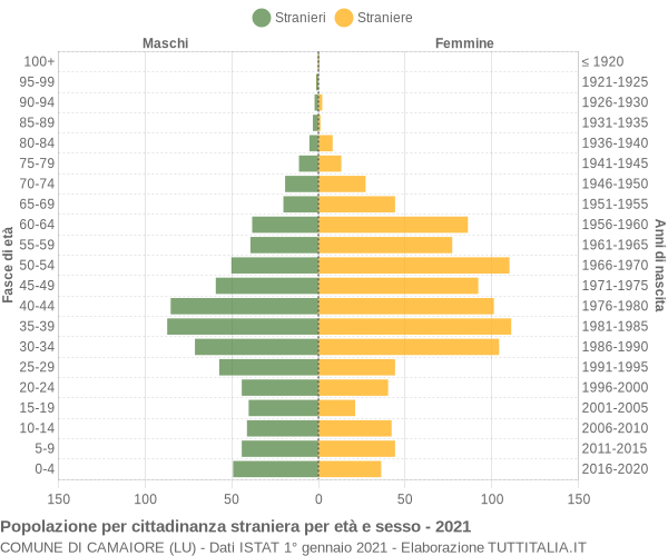 Grafico cittadini stranieri - Camaiore 2021