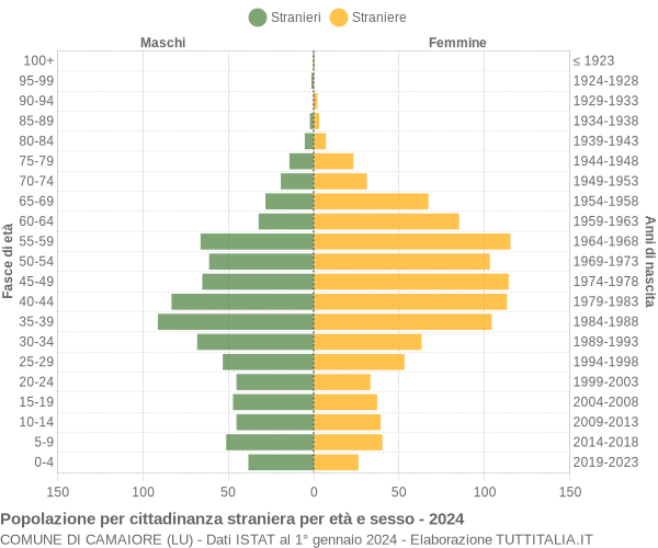 Grafico cittadini stranieri - Camaiore 2024