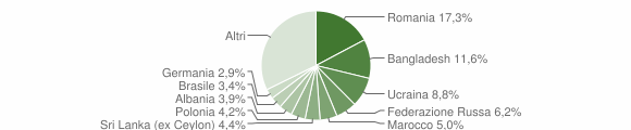 Grafico cittadinanza stranieri - Castiglione della Pescaia 2023