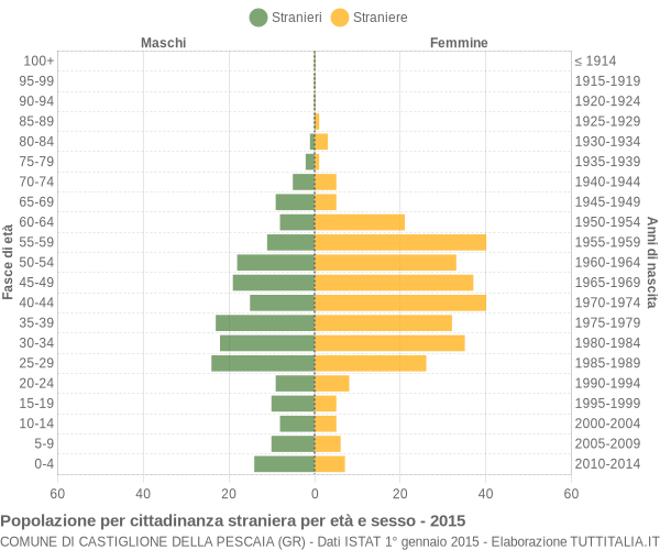 Grafico cittadini stranieri - Castiglione della Pescaia 2015