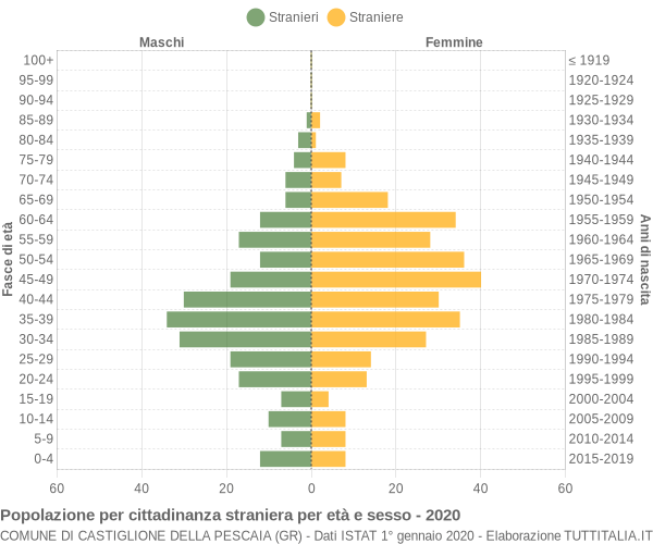 Grafico cittadini stranieri - Castiglione della Pescaia 2020