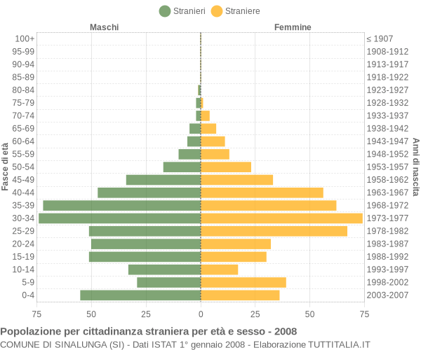 Grafico cittadini stranieri - Sinalunga 2008