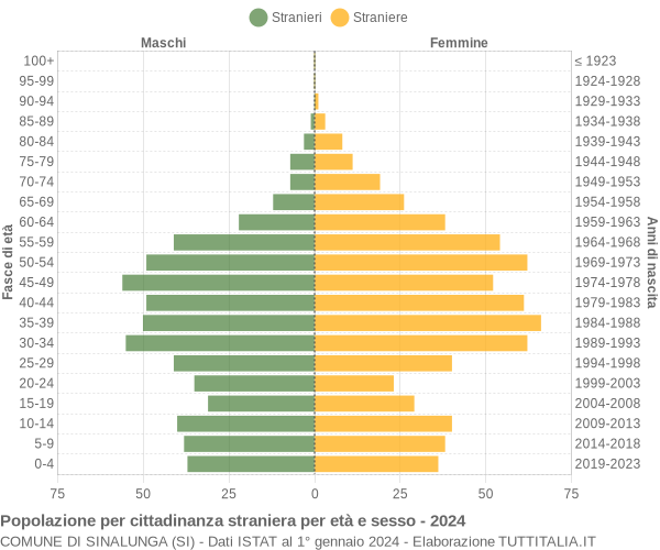 Grafico cittadini stranieri - Sinalunga 2024