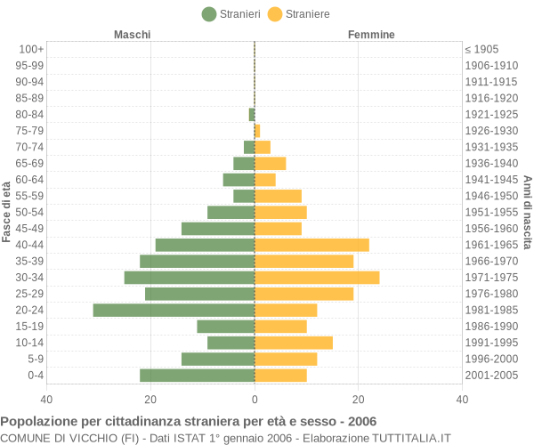 Grafico cittadini stranieri - Vicchio 2006