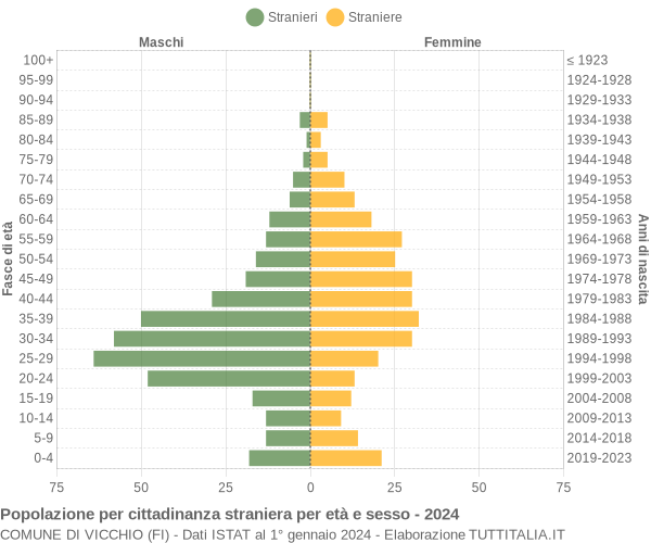 Grafico cittadini stranieri - Vicchio 2024