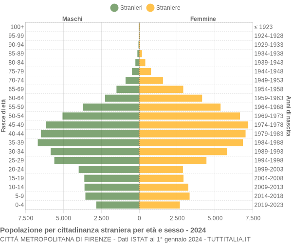 Grafico cittadini stranieri - 2024